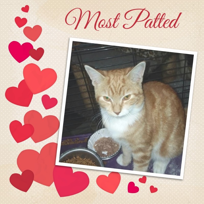 Lightening Bug of the ups98 family