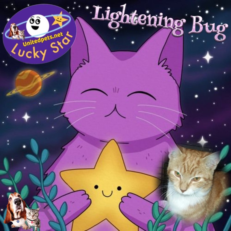 Lightening Bug of the ups98 family