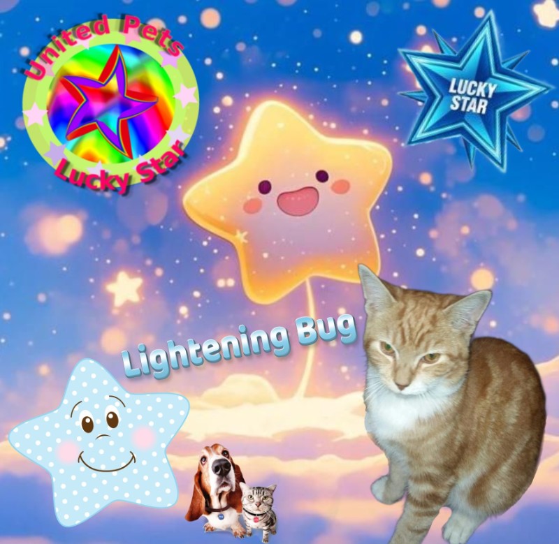 Lightening Bug of the ups98 family