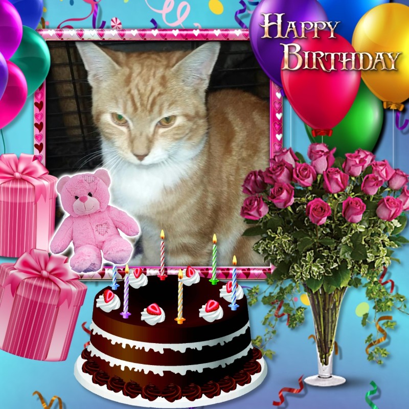 ups98 uploaded   4  day/s  ago