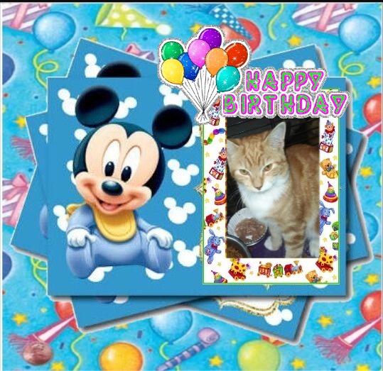 ups98 uploaded   1  day/s  ago