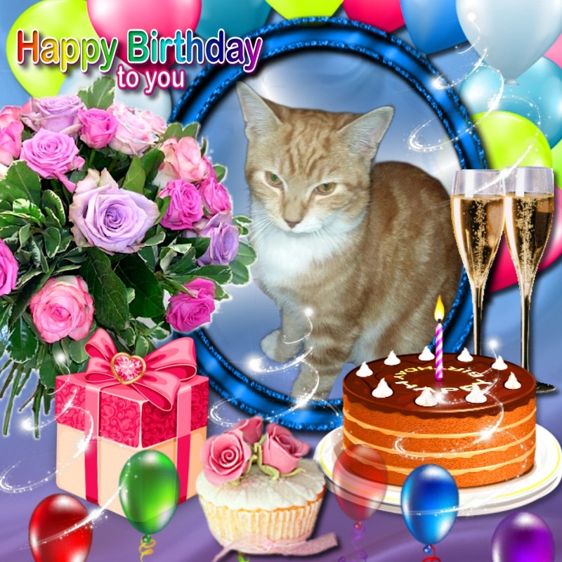 ups98 uploaded   4  day/s  ago