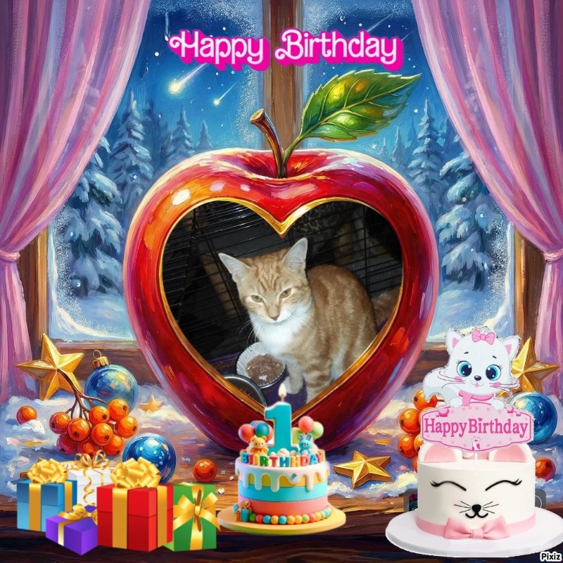 ups98 uploaded   4  day/s  ago