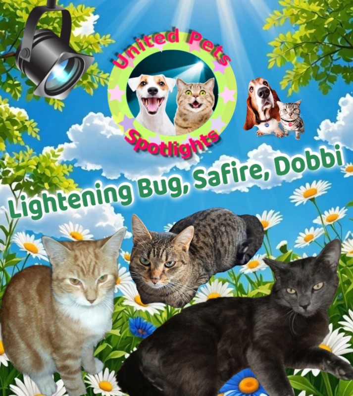 Lightening Bug of the ups98 family