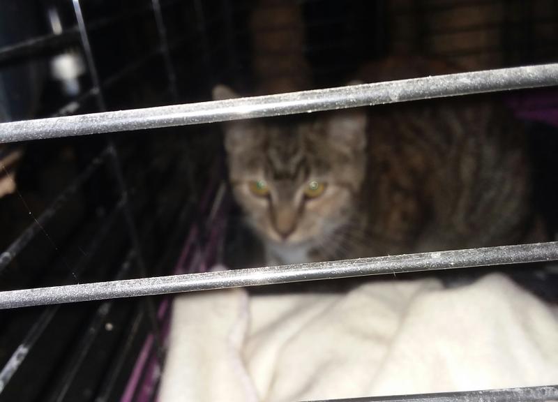 ups98 uploaded   193  day/s  ago