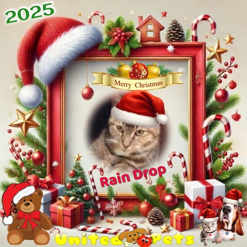 Rain Drop of the ups98 family