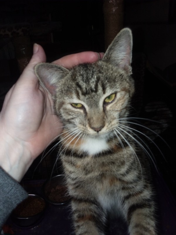 ups98 uploaded   193  day/s  ago