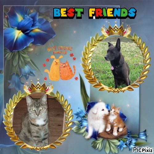 Rain Drop of the ups98 family