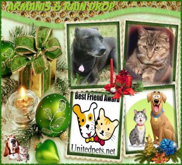 Rain Drop of the ups98 family