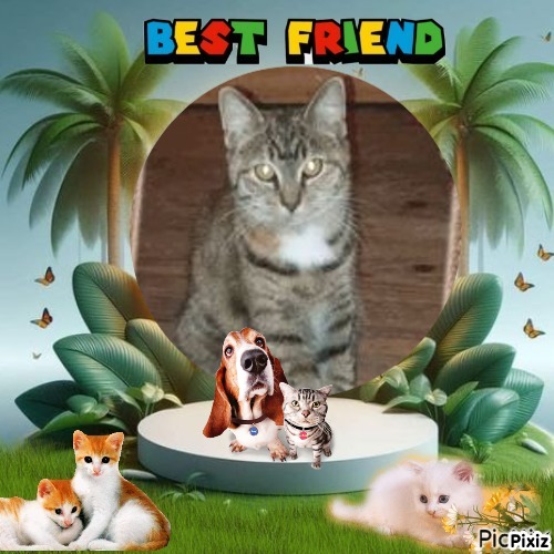 Rain Drop of the ups98 family