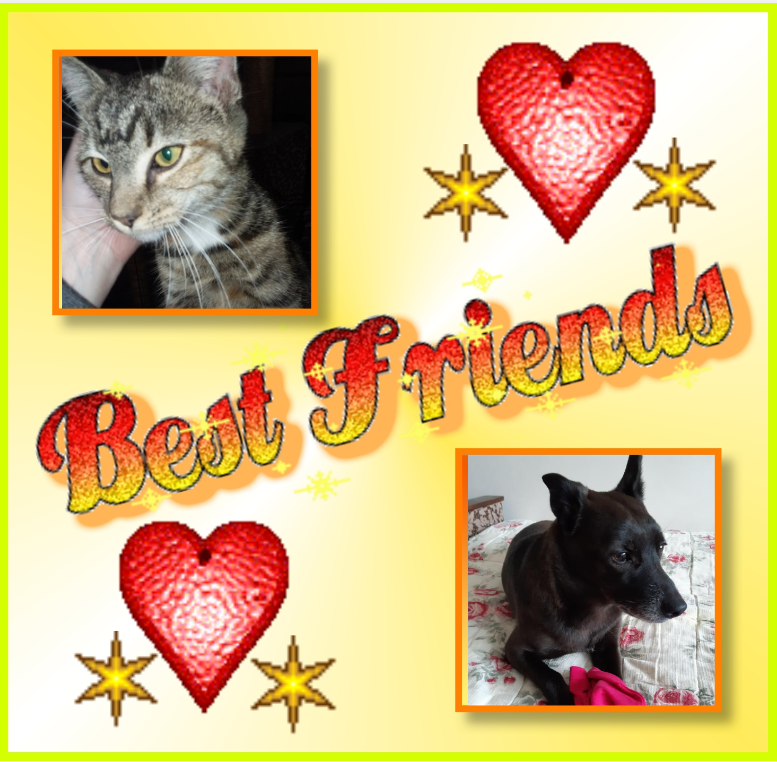 Rain Drop of the ups98 family