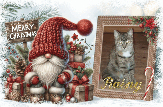 Rain Drop of the ups98 family