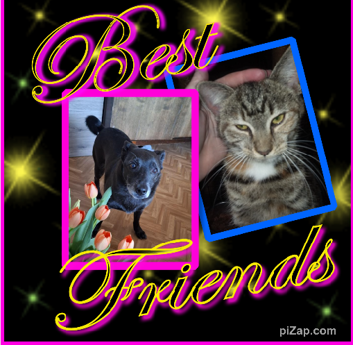 Rain Drop of the ups98 family