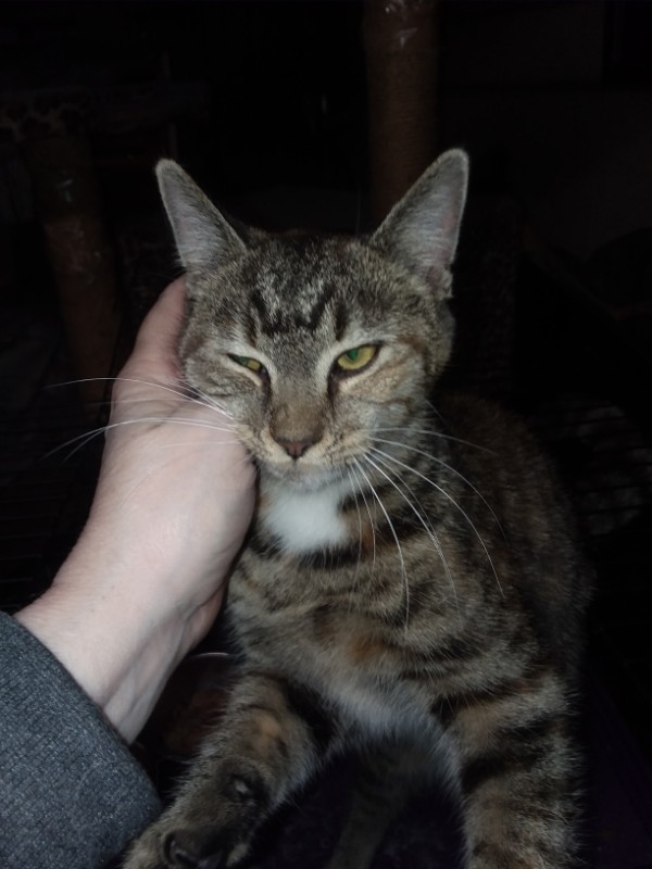 ups98 uploaded   193  day/s  ago