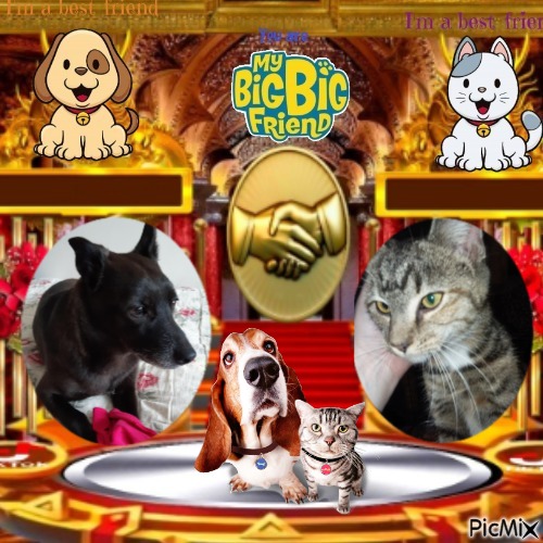 Rain Drop of the ups98 family