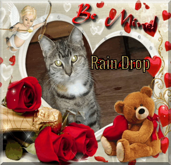 Rain Drop of the ups98 family