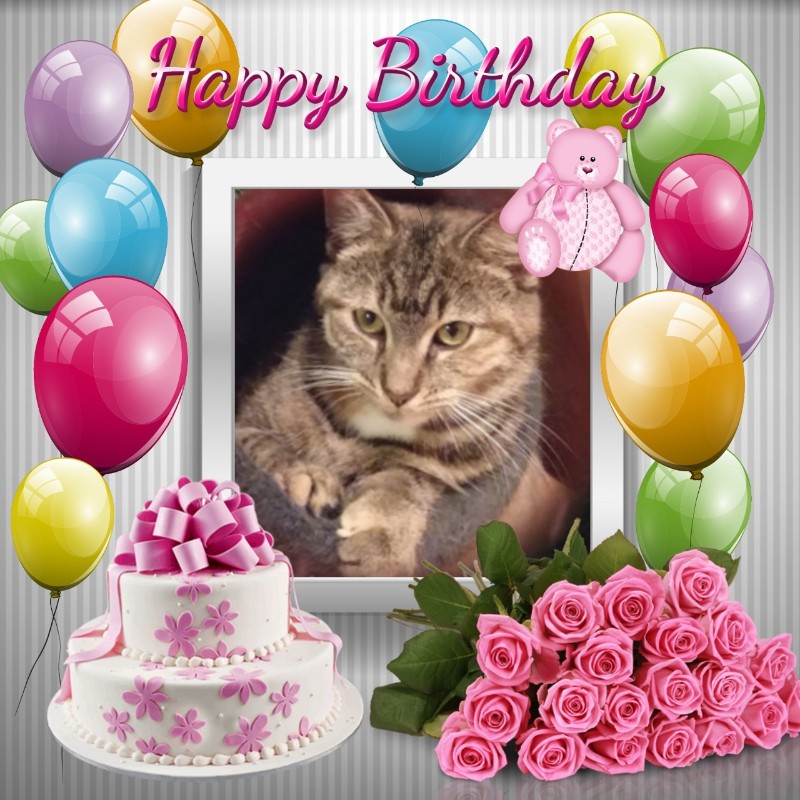 ups98 uploaded   3  day/s  ago