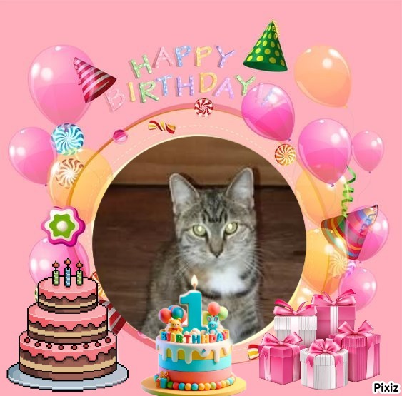 ups98 uploaded   3  day/s  ago