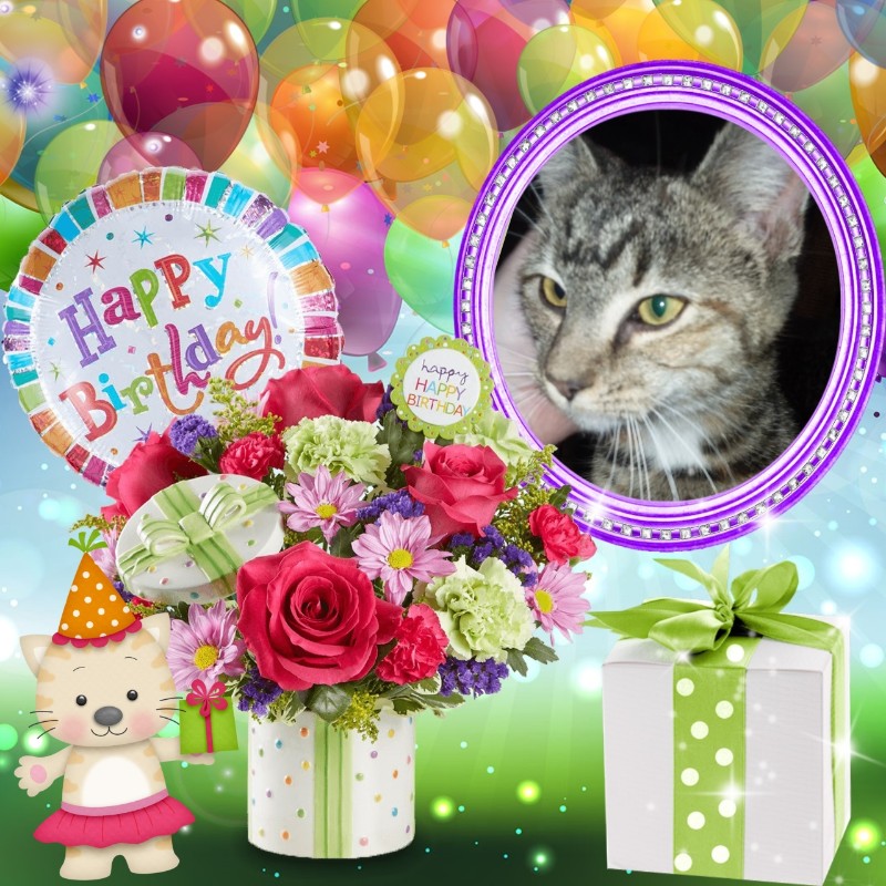 ups98 uploaded   3  day/s  ago