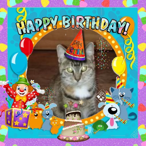 ups98 uploaded   1  day/s  ago