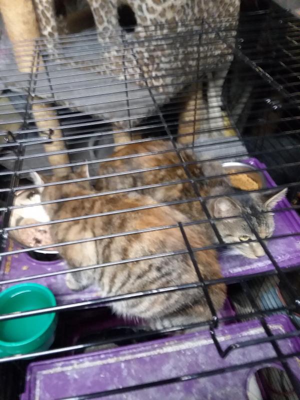 ups98 uploaded   182  day/s  ago