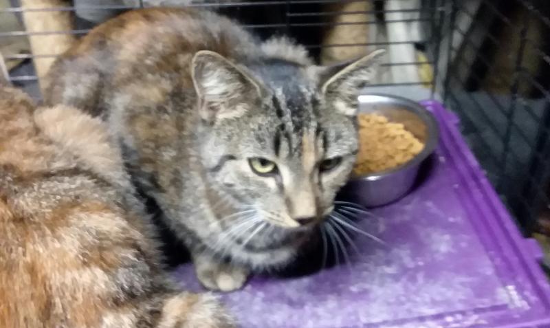 ups98 uploaded   182  day/s  ago