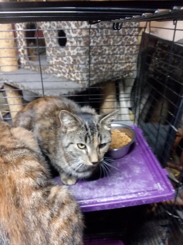 ups98 uploaded   182  day/s  ago