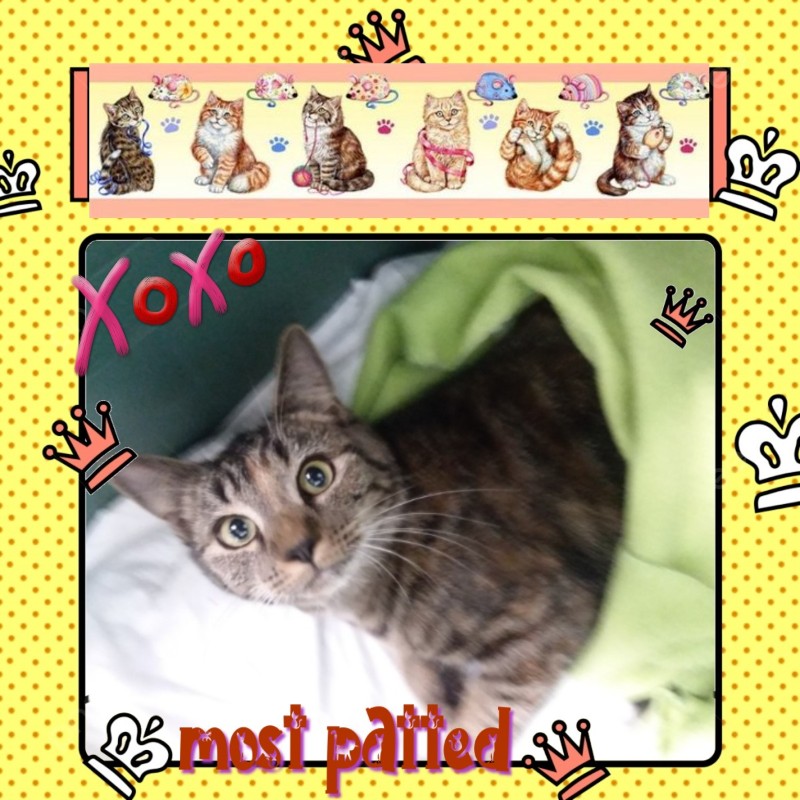 Stormy of the ups98 family