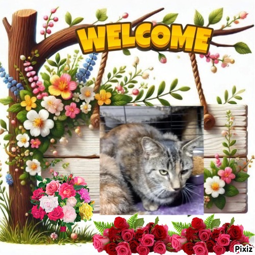 Stormy of the ups98 family