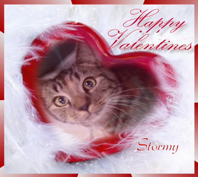 Stormy of the ups98 family