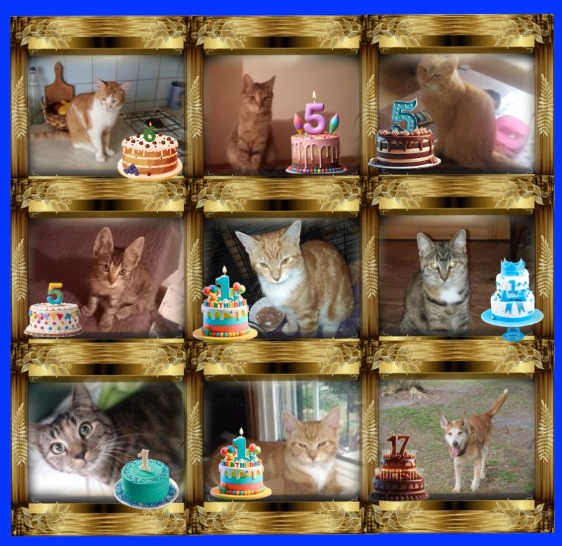 ups98 uploaded   3  day/s  ago