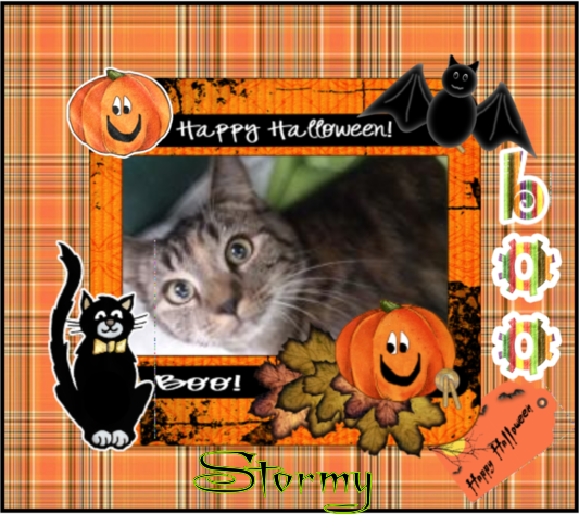 Stormy of the ups98 family