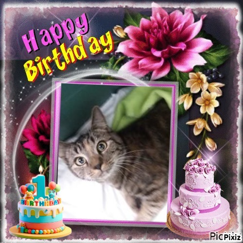 ups98 uploaded   3  day/s  ago