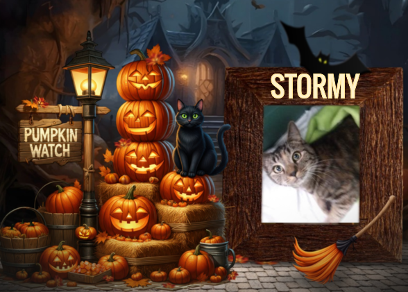 Stormy of the ups98 family
