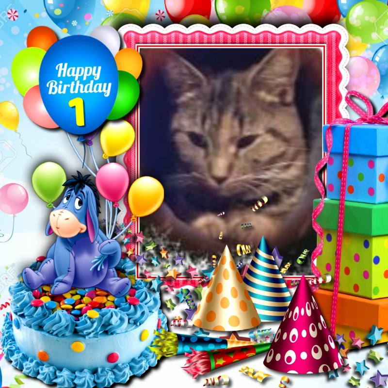 ups98 uploaded   3  day/s  ago