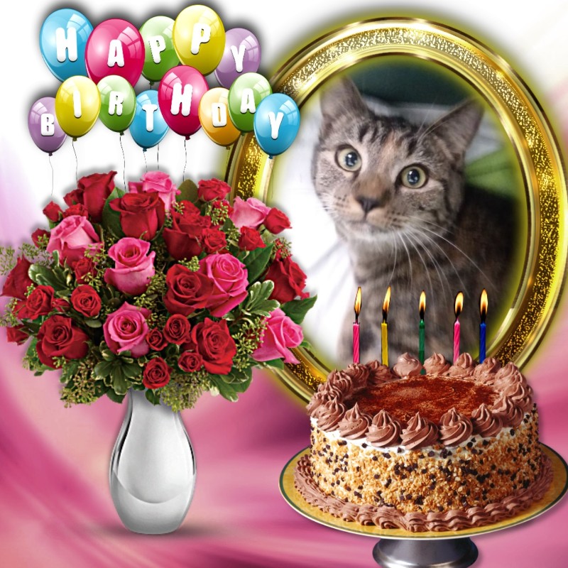 ups98 uploaded   3  day/s  ago