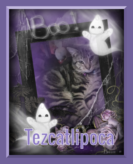 Tezcatlipoca of the ups98 family