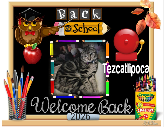 Tezcatlipoca of the ups98 family