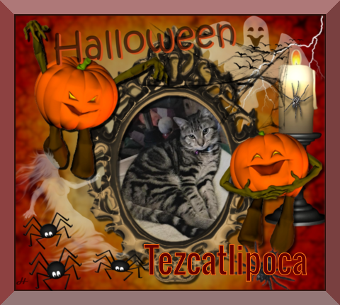 Tezcatlipoca of the ups98 family