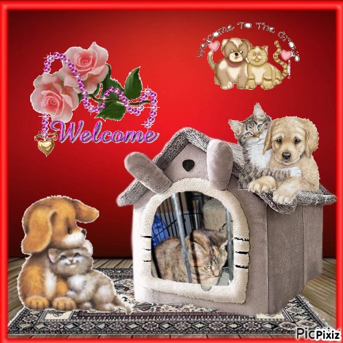 Ac of the ups98 family