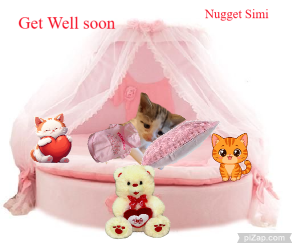 ups98 uploaded   5  day/s  ago