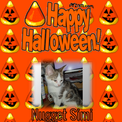 Nugget  Simi of the ups98 family