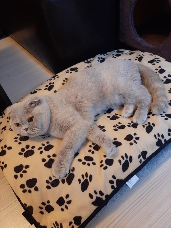 vesnahunjadi uploaded   5 year/s ago