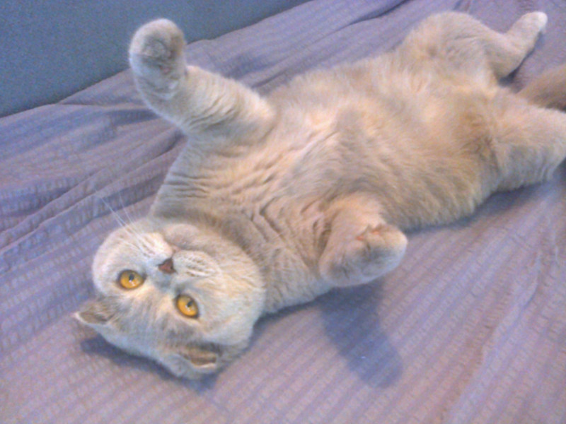 vesnahunjadi uploaded   5 year/s ago