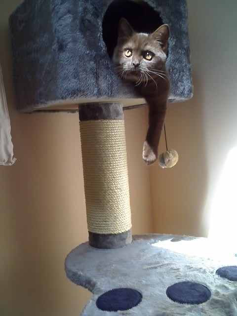 vesnahunjadi uploaded   6 year/s ago