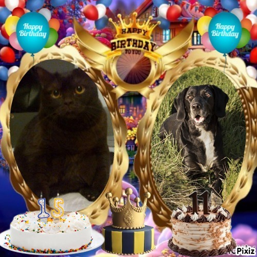 Edison Relaxer of the vesnahunjadi family