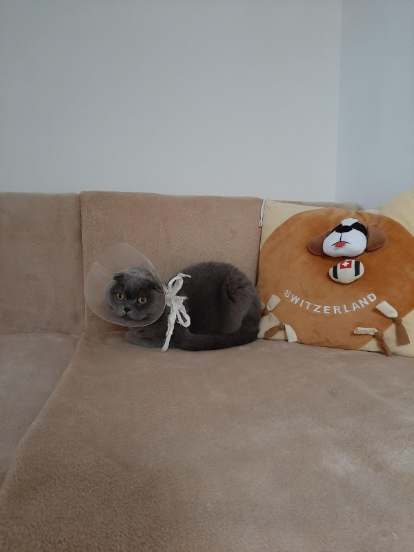 Tina Mariella of the vesnahunjadi family