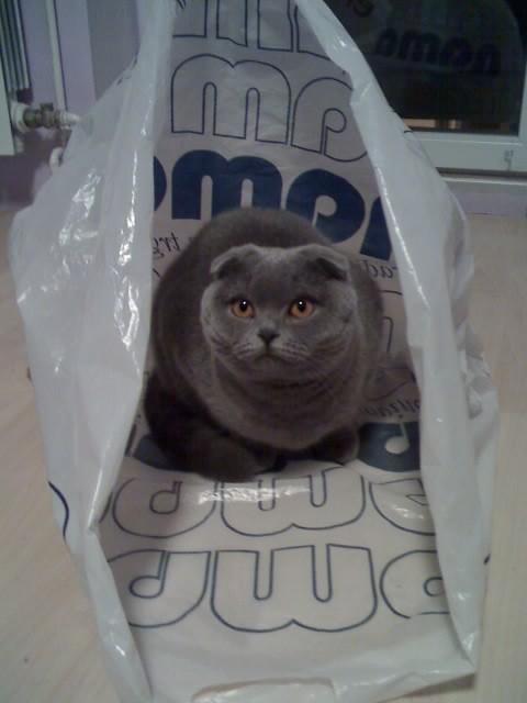 vesnahunjadi uploaded   210  day/s  ago