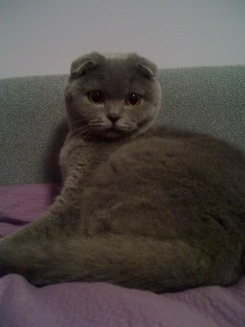 vesnahunjadi uploaded   210  day/s  ago