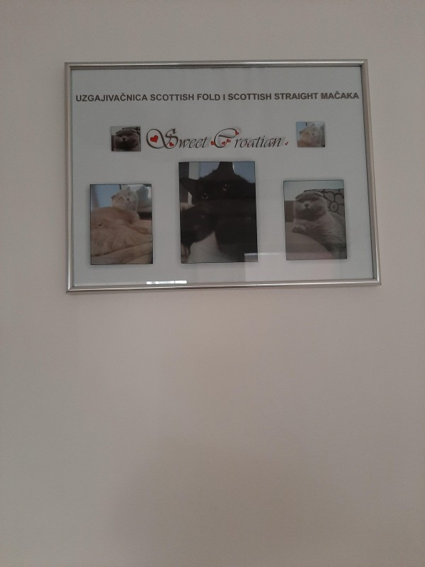 vesnahunjadi uploaded   210  day/s  ago